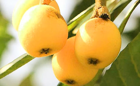 ���˻���ˮ����ʲô��Ч