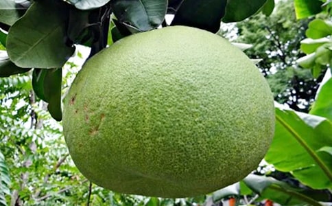 �а�����������Ӻ�����