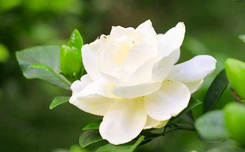 ��д���ӻ��ľ���