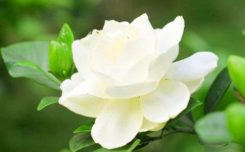 ���ӻ������ġ�����15ƪ��