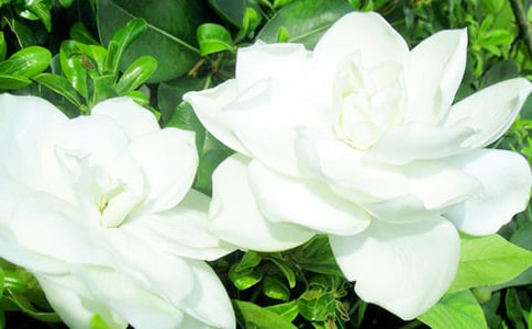 ���ӻ�������15ƪ[�ر�]