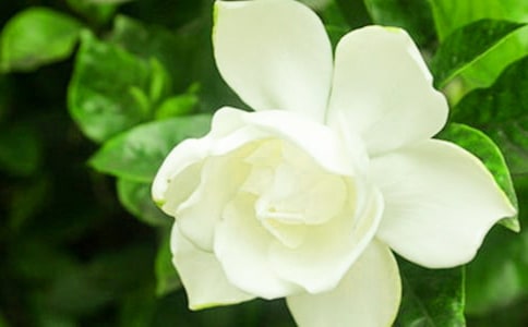 ���ӻ�������̨��