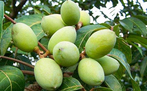 ��Ҳ�ι�һö��������ġ���15ƪ��