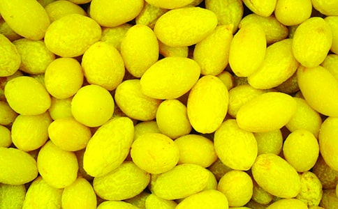 [�Ƽ�]��Ҳ�ι�һö���������