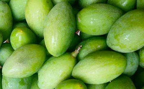 ��Ҳ�ι�һö��������ģ���ѡ26ƪ��