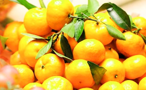 [�ϼ�]���ӵ���������15ƪ