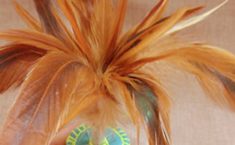 �������εĸ��뷶��