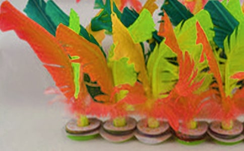 ��ѧ�����������ܽ�