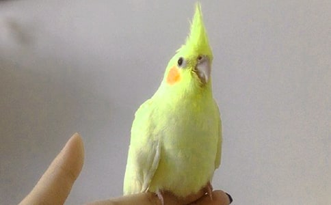 ���ĵ�����