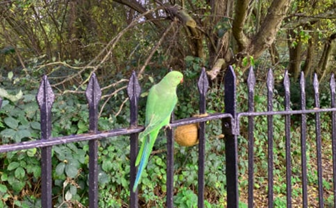 �Ҽҵ��������ġ�ͨ��15ƪ��