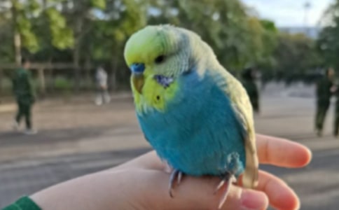 ���ȣ��ҵ�С��������