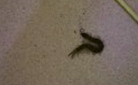 �������ģ���ѡ27ƪ��