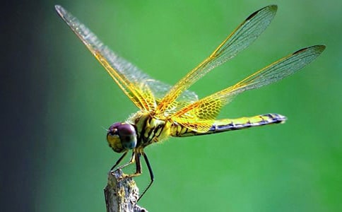 ׽�������ļ��ϡ�15ƪ��