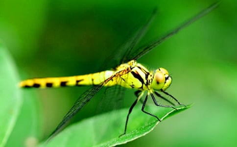 �����ϡ�׽��������15ƪ