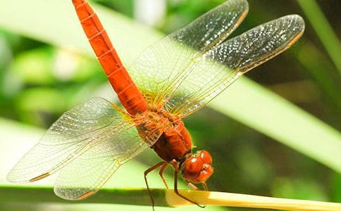 ���ѵ��۾����ľ�Ʒ3ƪ