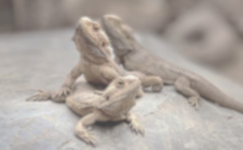 �����������������500������