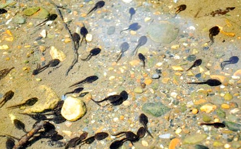 С���������μ��̰����ģ�ͨ��6ƪ��