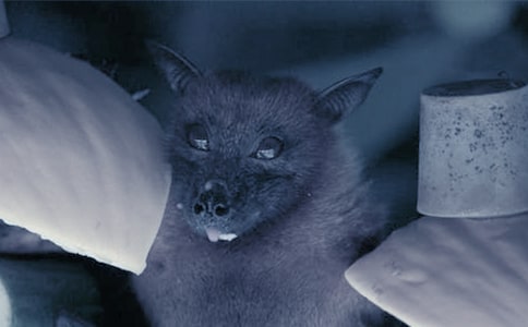 ��������������