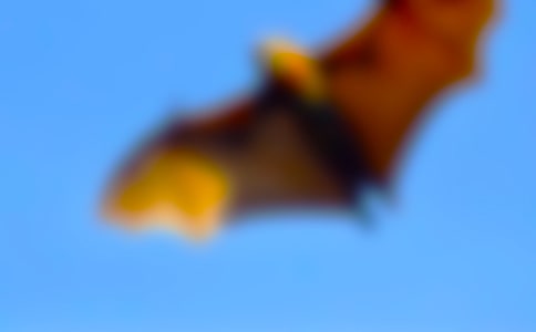 �����ս���ģ���ѡ6ƪ��