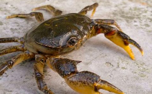 ���з����(��)