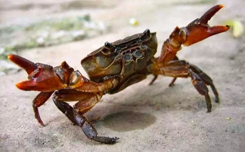 �յ����з������