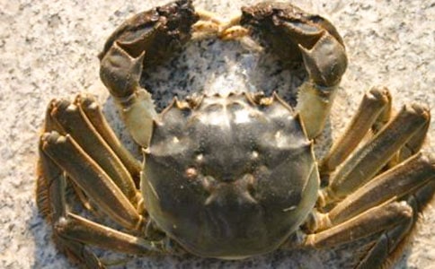 ץ�з���ļ���(15ƪ)