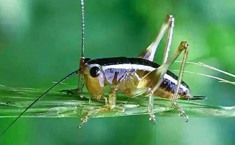 [��]׽������15ƪ