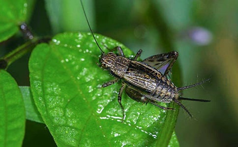 �������������յ�