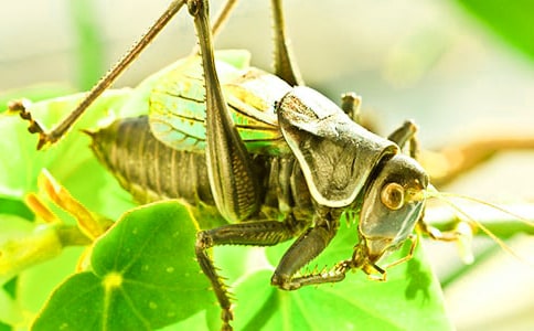 ׽������10ƪ