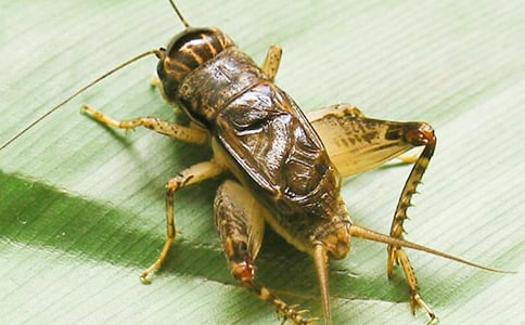 �������ģ���ѡ20ƪ��