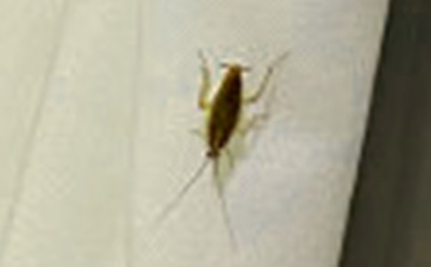 [��]׽�������18ƪ