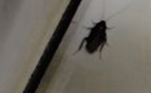 ��������Ĵ�ȫ[15ƪ]