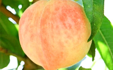 �����桶����մ�����һᡷ�Ľ�ѧ���