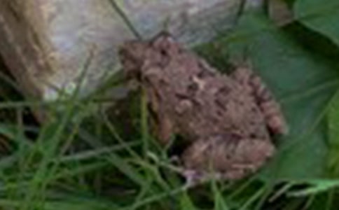 ��ܵ�����