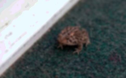 ��ܵ�����(�ر�)