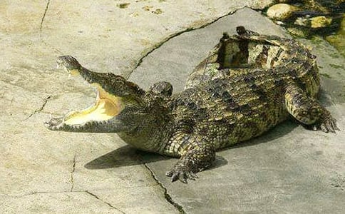 �����.�ռ�