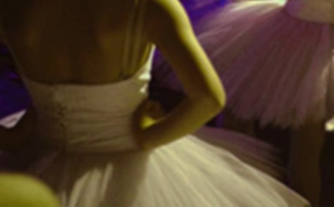 ��СӢ�ۺͰ��ٹ����������13ƪ