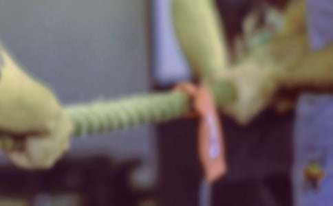 拔河比赛策划书(合集)