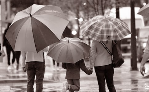 (��Ʒ)�ְ������������˵����14ƪ