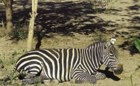 ������������������