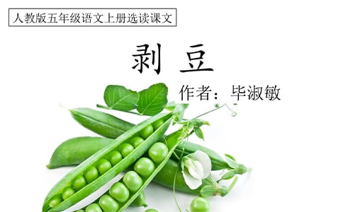 读《剥豆》有感