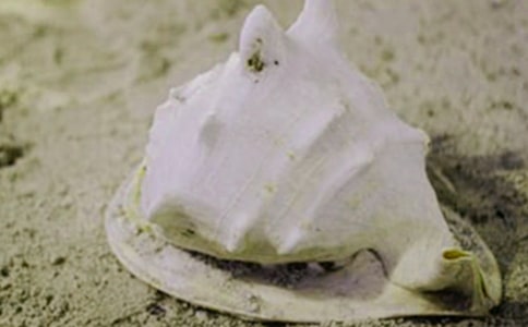 ��������300��[��ѡ]