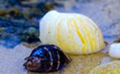 ��������300�֣���ѡ��