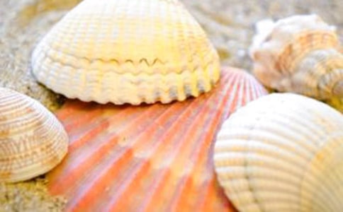 ��������(����)