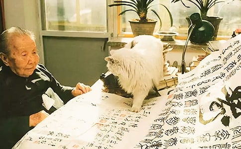 ���ĵ����ġ�����15ƪ��