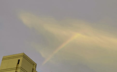 ���ʺ硷�����̰�