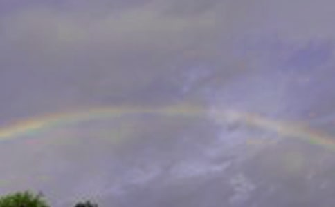 �йش��۵����ģ���������ּ��ʺ磨ͨ��48ƪ��