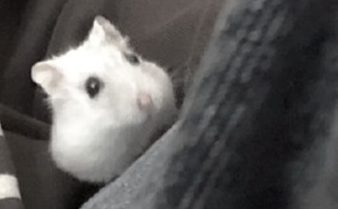 �۲�������ģ�ͨ��20ƪ��