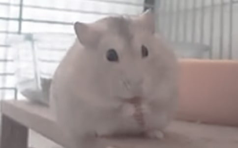 ����������۲��ռ�