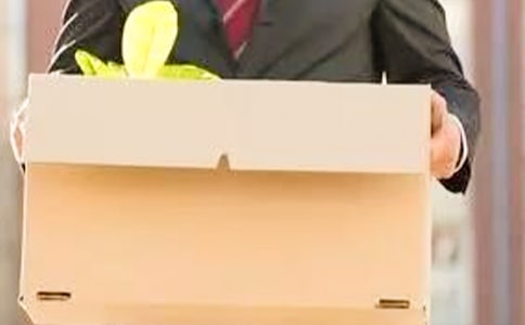 ��ְ�������루ͨ��20ƪ��